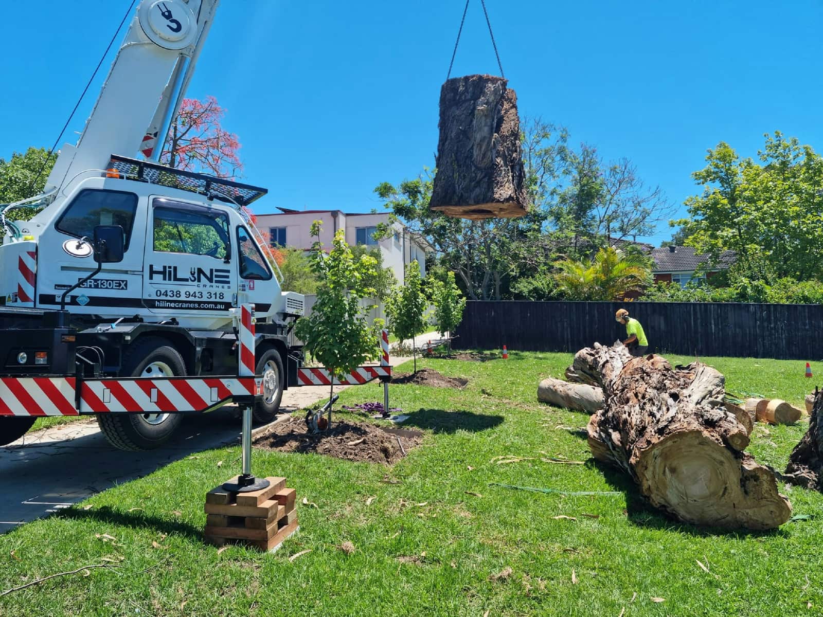 Complete tree removal