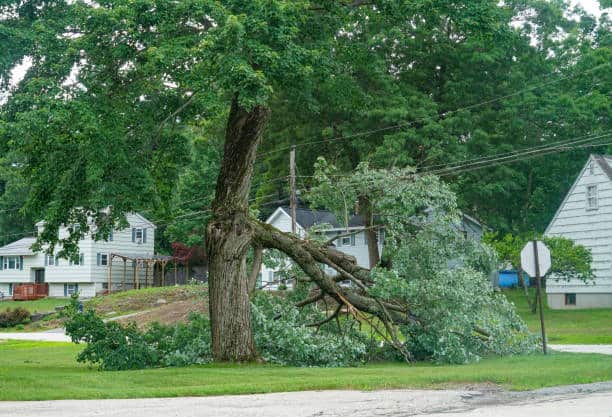 Emergency storm cleanup